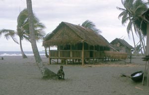 My New Guinea house